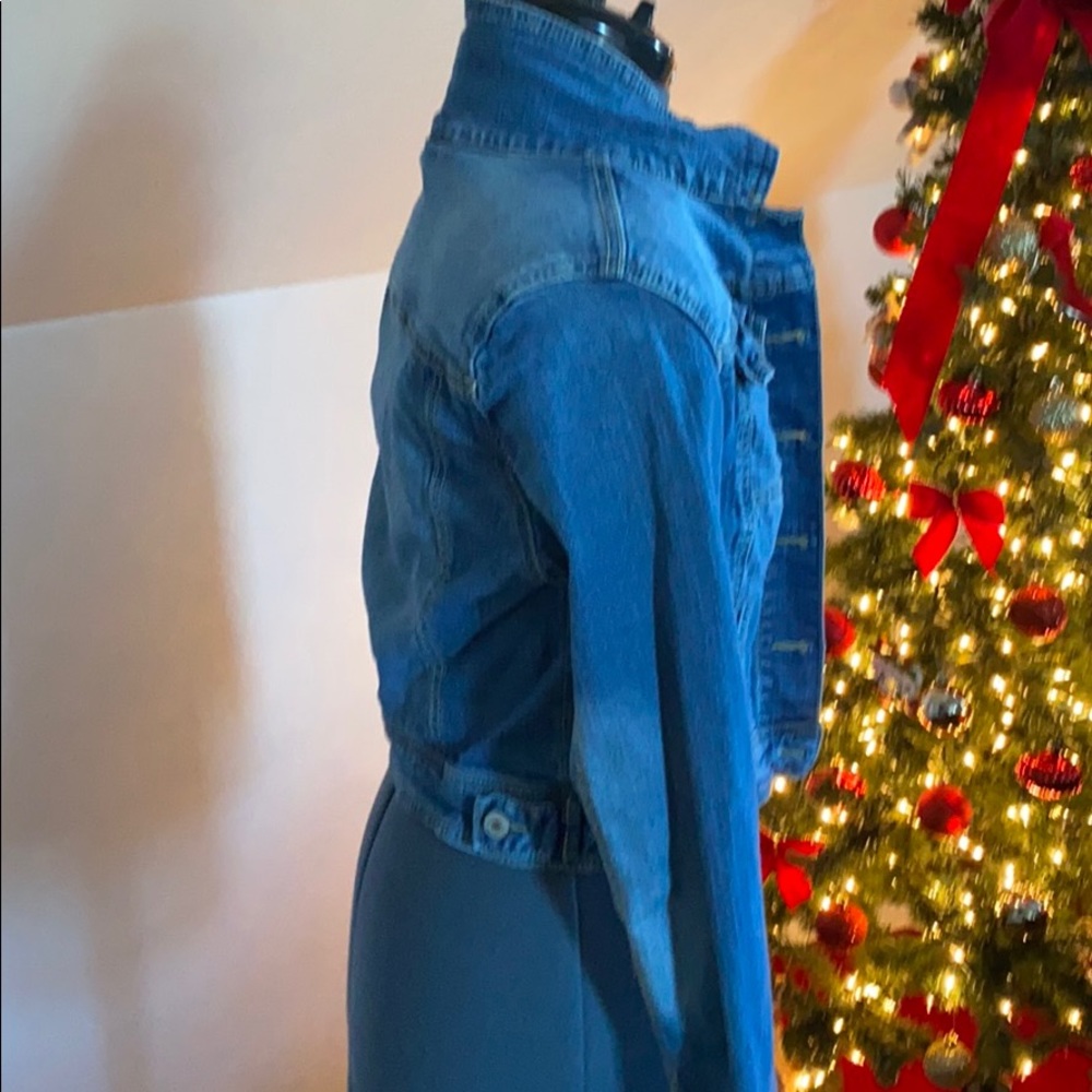 Jean Jacket - Picture 2 of 5